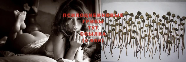 соль курить ск Арсеньев