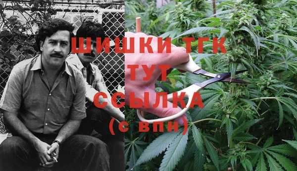 соль курить ск Арсеньев