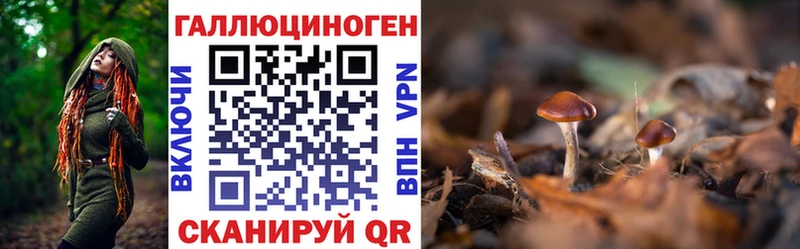 Галлюциногенные грибы прущие грибы  mega ссылки  Нефтекумск 